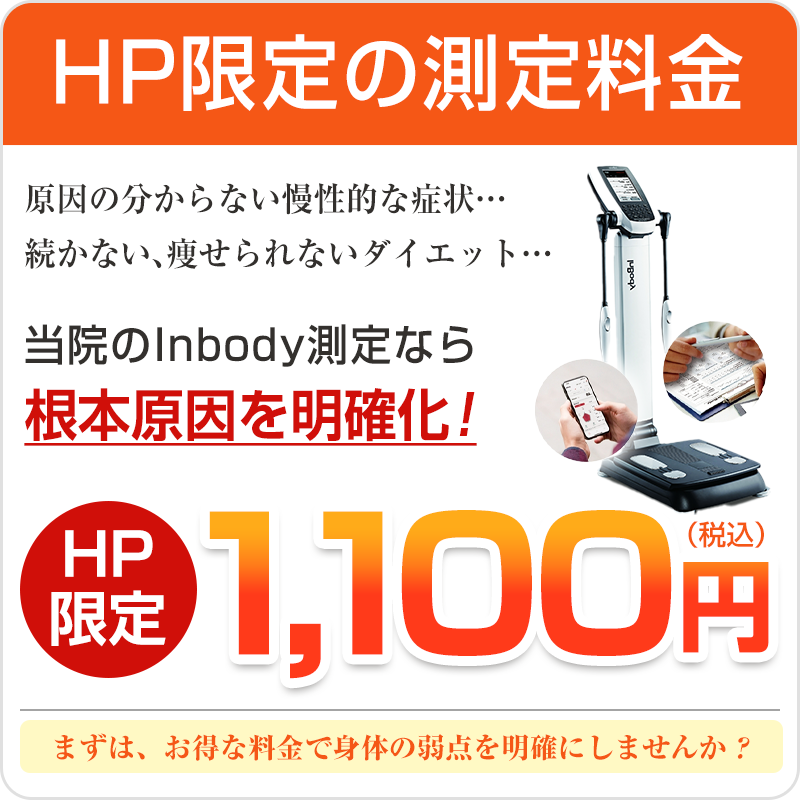 Inbody1100円